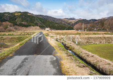 Rural scenery of Makino Town, Takashima City, Shiga Prefecture Rural scenery of Makino Town, Takashima City, Shiga Prefecture 137909909