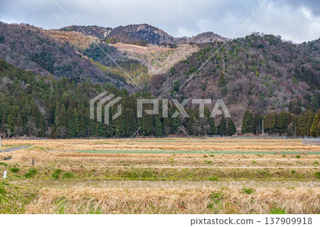 滋賀縣高島市牧野町的田園風光 滋賀縣高島市牧野町的田園風光 137909918