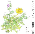 Spring plants, dandelion watercolor illustration 137910095
