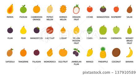 Tropical and exotic fruits icon set. Flat vector foods for kids, healthy , grocery and menu design Tropical and exotic fruits icon set. Flat vector foods for kids, healthy , grocery and menu design 137910589