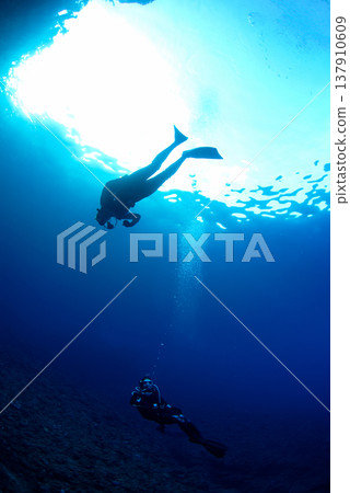 A school of fish and the silhouette of a diver A school of fish and the silhouette of a diver 137910609