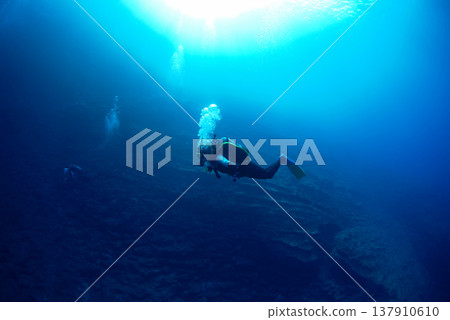 Divers swimming in the light-filled water 137910610