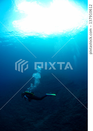 Divers and bubbles swimming in a beam of light. Divers and bubbles swimming in a beam of light. 137910612