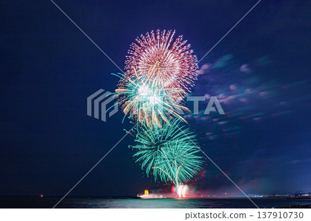 盛開在夏日夜空的大朵花朵 盛開在夏日夜空的大朵花朵 137910730