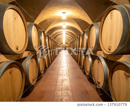 View of oak wine barrels stored in a traditional cellar View of oak wine barrels stored in a traditional cellar 137910779