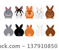 五隻不同的兔子，前後兩組。 137910850