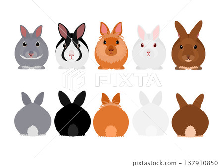 五隻不同的兔子，前後兩組。 137910850