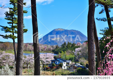 Akaya-shio Hill, at the foot of Mt. Akagi, Maebashi City, Gunma Prefecture 137910935