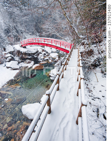 Yumori Valley (Winter): Momiji Bridge Yumori Valley (Winter): Momiji Bridge 137911480