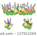 A vitamin-colored herb garden centered around nasturtiums. 137912269