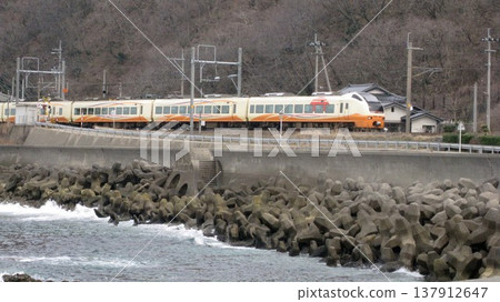 日本海和特快稻穗 日本海和特快稻穗 137912647
