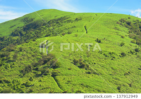 Summer on the Izu Peninsula: The Izu Mountain Ridge Trail, a ridgeline trail leading to the lush green Mt. Daruma. Summer on the Izu Peninsula: The Izu Mountain Ridge Trail, a ridgeline trail leading to the lush green Mt. Daruma. 137912949
