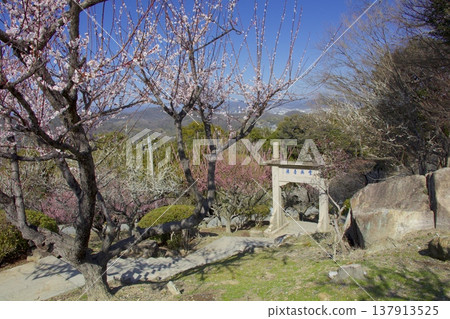 World Plum Blossom Park "Sekkai Koto" / Temple Gate (Mitsu Nature Observation Park, Tatsuno City) World Plum Blossom Park "Sekkai Koto" / Temple Gate (Mitsu Nature Observation Park, Tatsuno City) 137913525