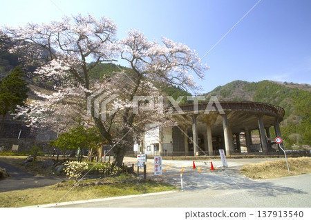 Shakuna at Mikobata Ore Dressing Plant / Silver Carriage Road / Modern Industrial Heritage Site / Japan Heritage Site 137913540