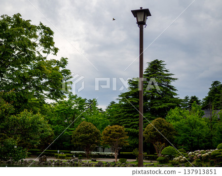 Streetlights in a park surrounded by the greenery of early summer Streetlights in a park surrounded by the greenery of early summer 137913851