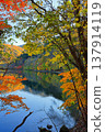Autumn lakeside 137914119