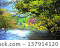 Spring pours forth 137914120