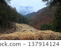 The pulse of the Mitsumata plant 137914124