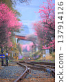 flower peach orbit 137914126