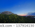Spring collaboration 137914130