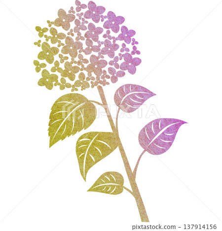 Beautiful watercolor pattern of hydrangea icon image illustration 137914156