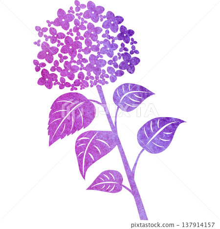 Beautiful watercolor pattern of hydrangea icon image illustration 137914157