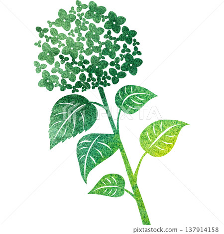 Beautiful watercolor pattern of hydrangea icon image illustration 137914158