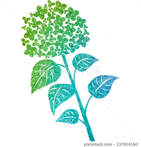 美麗的繡球花圖示圖像插圖的水彩圖案 美麗的繡球花圖示圖像插圖的水彩圖案 137914160