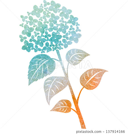 美麗的繡球花圖示圖像插圖的水彩圖案 美麗的繡球花圖示圖像插圖的水彩圖案 137914166