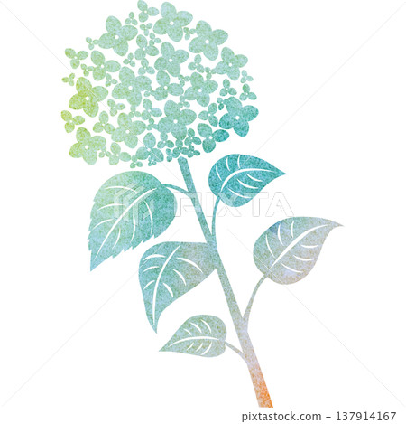 美麗的繡球花圖示圖像插圖的水彩圖案 美麗的繡球花圖示圖像插圖的水彩圖案 137914167