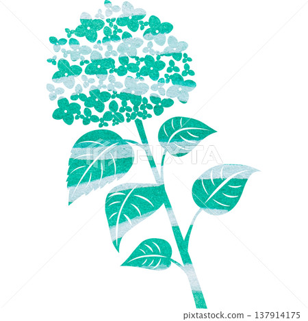 Beautiful watercolor pattern of hydrangea icon image illustration Beautiful watercolor pattern of hydrangea icon image illustration 137914175