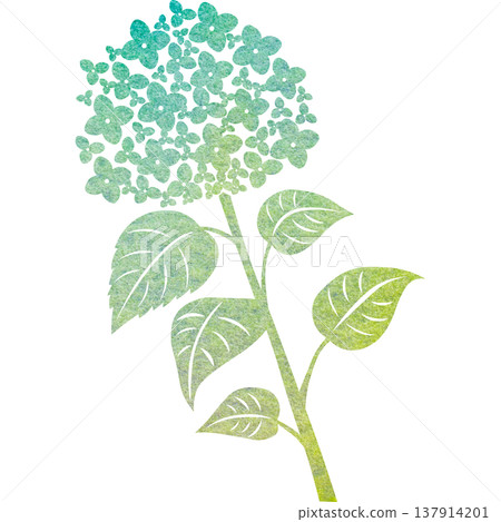 Beautiful watercolor pattern of hydrangea icon image illustration Beautiful watercolor pattern of hydrangea icon image illustration 137914201