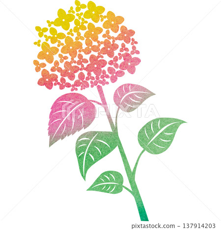 美麗的繡球花圖示圖像插圖的水彩圖案 美麗的繡球花圖示圖像插圖的水彩圖案 137914203