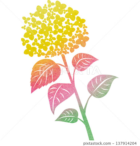 美麗的繡球花圖示圖像插圖的水彩圖案 137914204