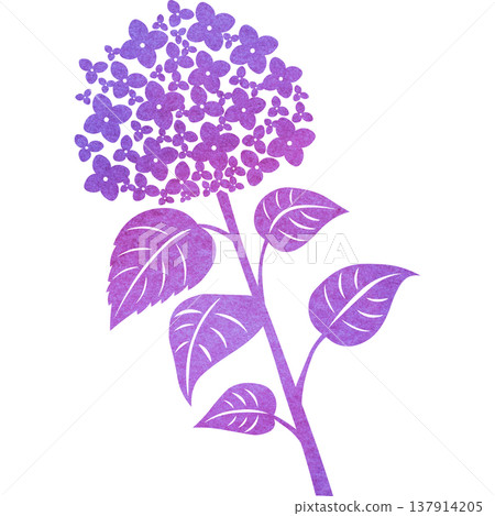 美麗的繡球花圖示圖像插圖的水彩圖案 美麗的繡球花圖示圖像插圖的水彩圖案 137914205