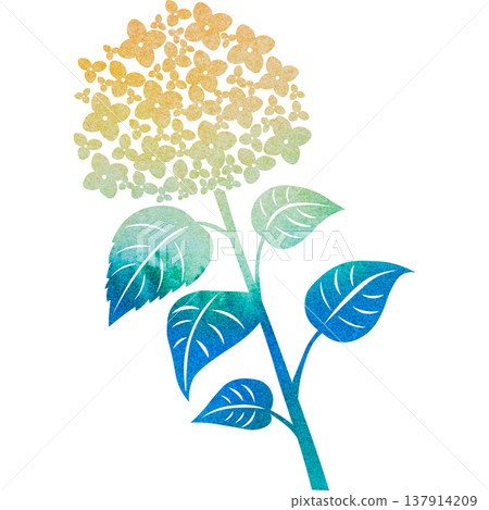 美麗的繡球花圖示圖像插圖的水彩圖案 美麗的繡球花圖示圖像插圖的水彩圖案 137914209