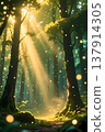 A forest bathed in sunlight 137914305
