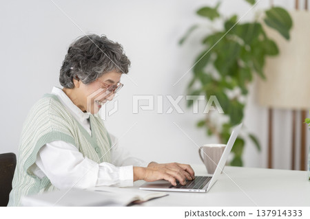 Senior woman working on a laptop Senior woman working on a laptop 137914333