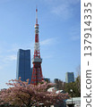 Tokyo, Minato Ward! Tokyo Tower as seen from Shiba Park. 137914335