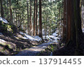 Mountain trail surrounded by trees 137914455