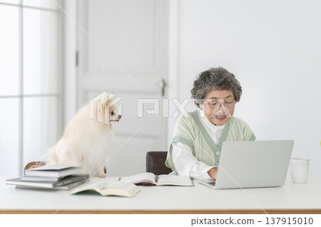 A senior woman working at her desk and her beloved dog watching her. A senior woman working at her desk and her beloved dog watching her. 137915010
