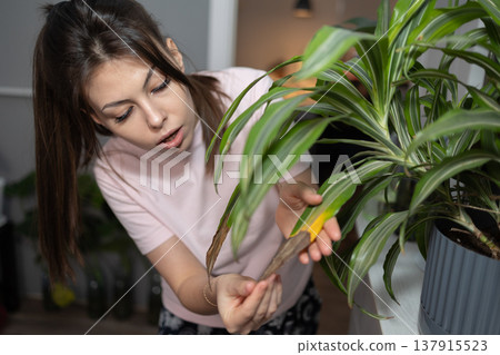 Woman Inspects Plant Leaves in Indoor Space During Afternoon Care Routine Woman Inspects Plant Leaves in Indoor Space During Afternoon Care Routine 137915523