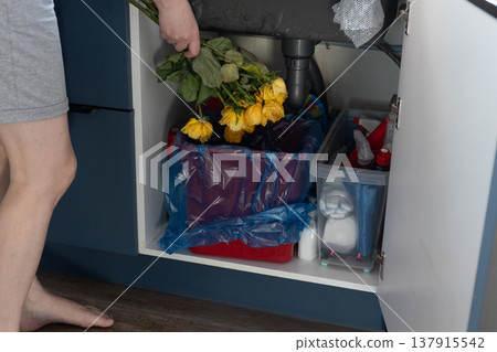Man discarding bouquet of yellow roses into kitchen trash bin under sink. End of holiday and return to everyday life concept in household routine. photography 137915542