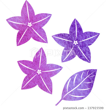 Beautiful watercolor bellflower flower icon image illustration Beautiful watercolor bellflower flower icon image illustration 137915599