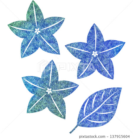 Beautiful watercolor bellflower flower icon image illustration Beautiful watercolor bellflower flower icon image illustration 137915604