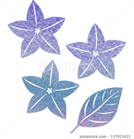 Beautiful watercolor bellflower flower icon image illustration 137915631