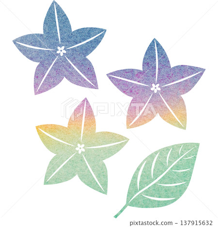 Beautiful watercolor bellflower flower icon image illustration Beautiful watercolor bellflower flower icon image illustration 137915632