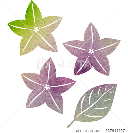 Beautiful watercolor bellflower flower icon image illustration Beautiful watercolor bellflower flower icon image illustration 137915637