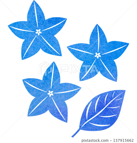 Beautiful watercolor bellflower flower icon image illustration Beautiful watercolor bellflower flower icon image illustration 137915662