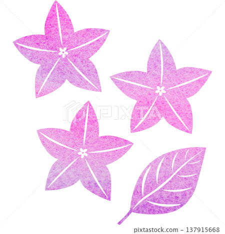 Beautiful watercolor bellflower flower icon image illustration Beautiful watercolor bellflower flower icon image illustration 137915668